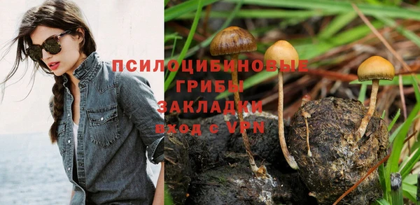 соль ск Абаза